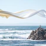 To the sea by Journey Gong