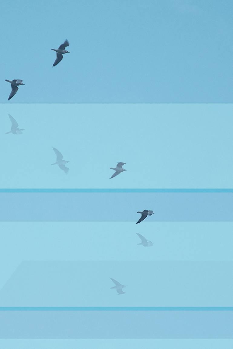 Original Abstract Landscape Photography by Journey Gong