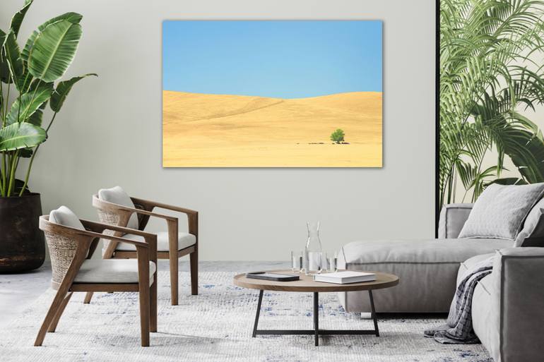 Original Conceptual Landscape Photography by Journey Gong