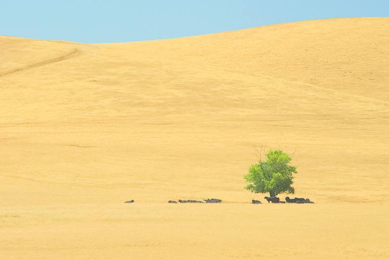 Original Conceptual Landscape Photography by Journey Gong