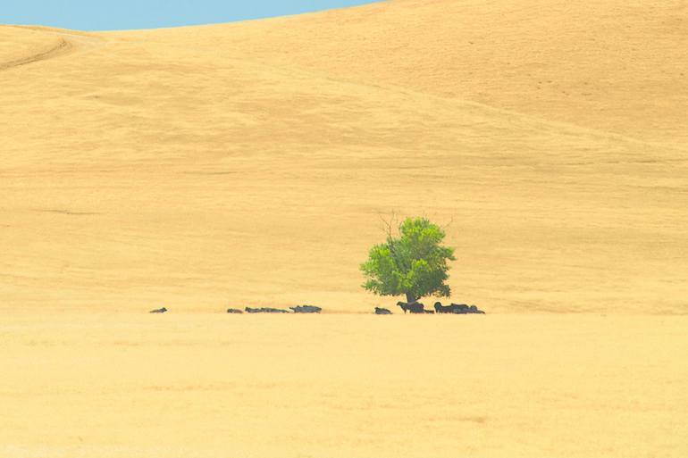 Original Conceptual Landscape Photography by Journey Gong