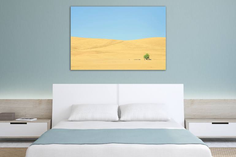 Original Conceptual Landscape Photography by Journey Gong