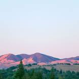 Collection Art to Bring the Outdoors In