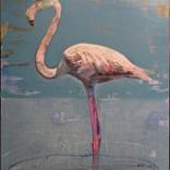 bird by christos tsimaris