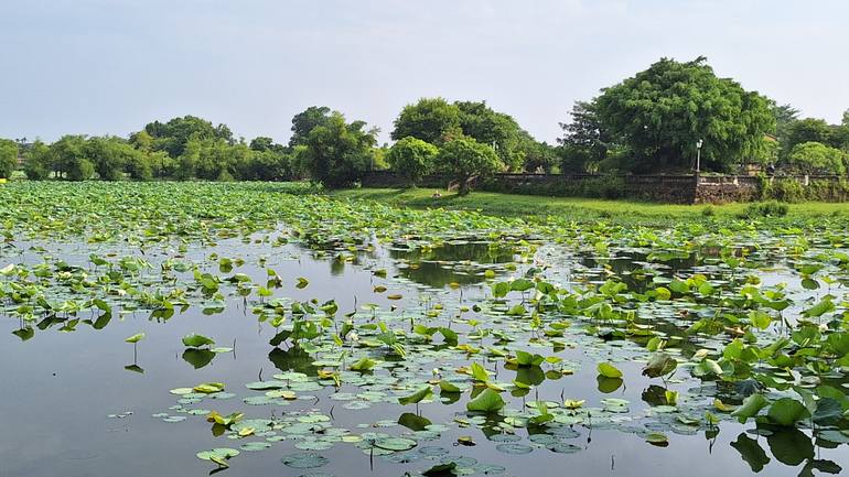 Original Abstract Expressionism Landscape Painting by Hai Linh Le