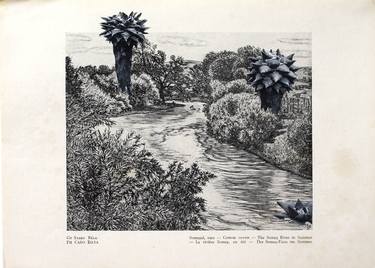Landscape with cacti thumb