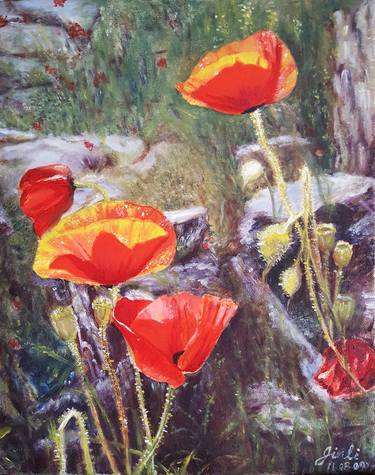 Poppies in the Wind thumb