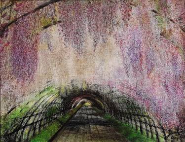 Wisteria Tunnel, Blooming Season in Japan thumb