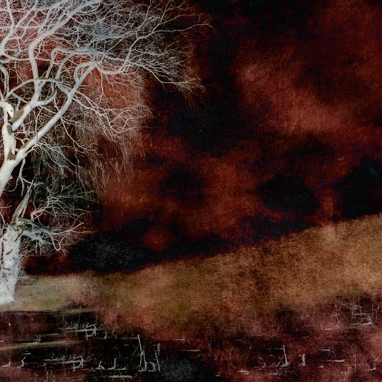 Original Other Landscape Photography by Brooke T Ryan