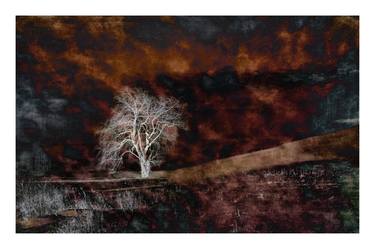 Ghost Tree - 24 x 16" - After Series - Limited Edition of 40 thumb