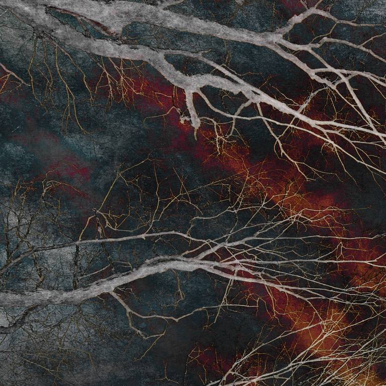 Original Other Landscape Photography by Brooke T Ryan