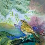 Songbird by Carol McDermott