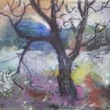 Woodland edge by Carol McDermott