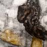 detail texture.