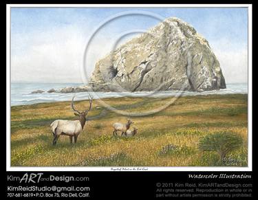 Sugarloaf Island on the Lost Coast, Limited Edition Print thumb