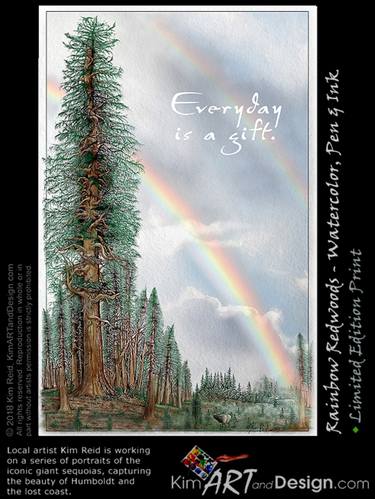 Rainbow Redwoods, Everyday is a Gift thumb