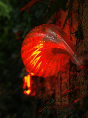 Original Science/Technology Installation by Tracey Snape