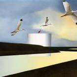 Collection New This Week 12-15-2025