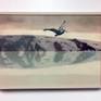 A flight of a pelican reveals a seascape where an island reflects itself in a calm mirror of warm water.
Everything is fixed in a warm atmosphere.

Oil colors on a very fine cotton canvas.
