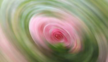 Rose in a vortex - Limited Edition 1 of 1 thumb