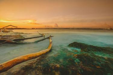 Print of Fine Art Landscape Photography by Hector Carbuccia