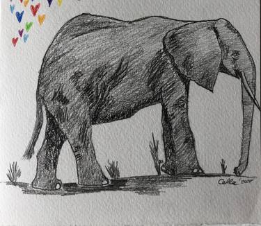 Original Fine Art Animal Drawings by Carolin Boehning rainbowcalla