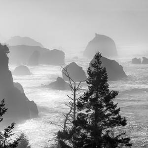 Collection Redwood Coast Seascapes