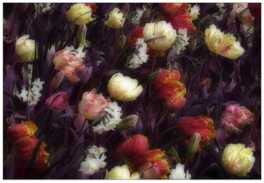 Print of Expressionism Floral Photography by Huck Orban