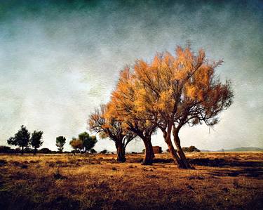 Original Expressionism Landscape Photography by Huck Orban