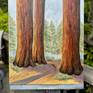 California Redwoods on my easel