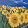 Sunflowers in a Field side view