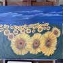 Sunflowers in a Field