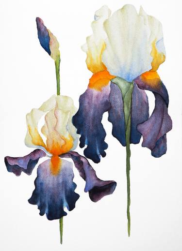 Original Botanic Paintings by Diana F