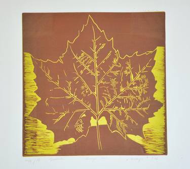 Original Botanic Printmaking by jan siedlecki