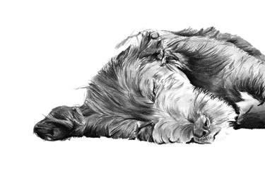 Print of Fine Art Dogs Drawings by Kory Russell