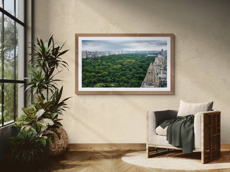 Original Documentary Botanic Photography by Harv Greenberg