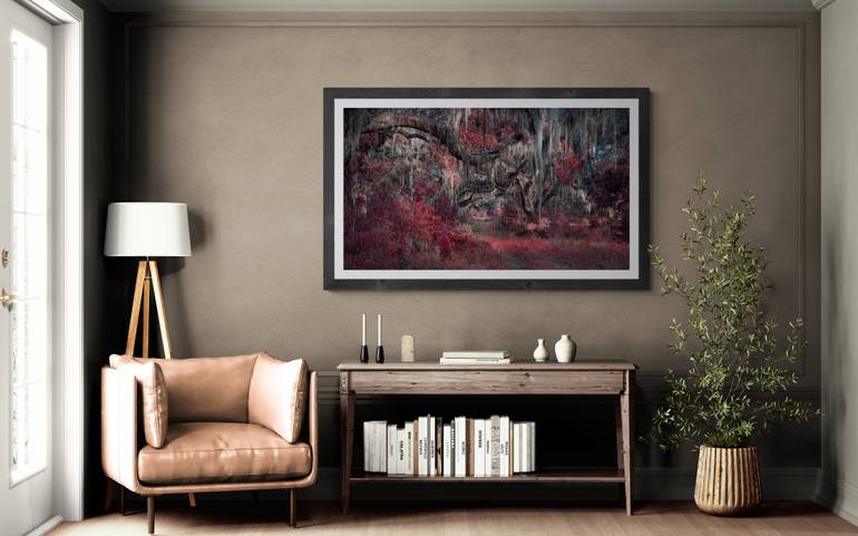 Original Surrealism Botanic Photography by Harv Greenberg