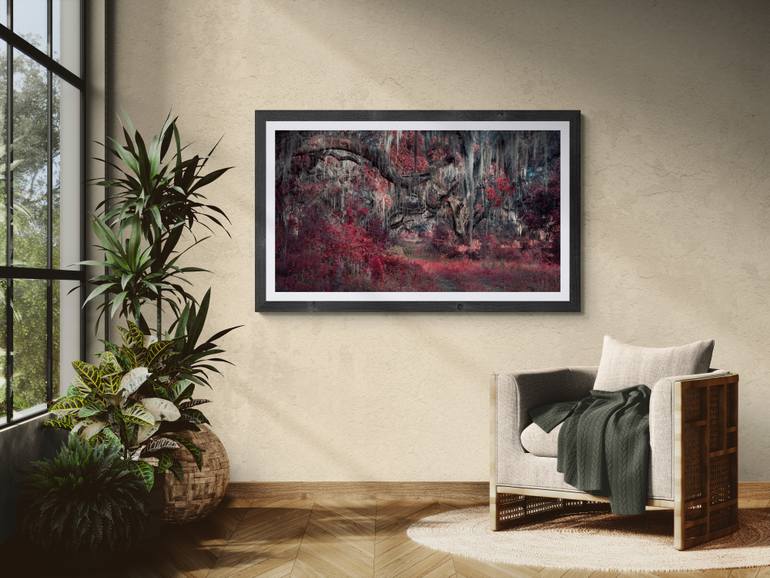 Original Surrealism Botanic Photography by Harv Greenberg