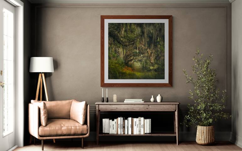 Original Surrealism Botanic Photography by Harv Greenberg