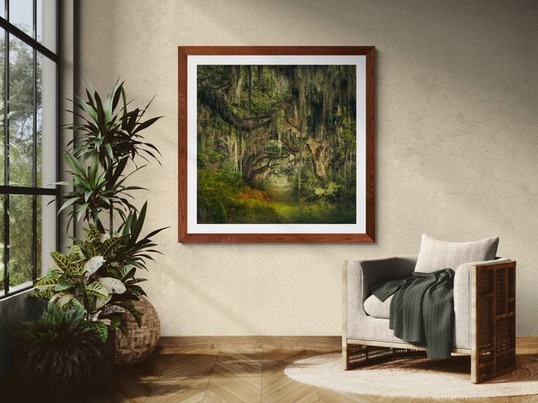 Original Surrealism Botanic Photography by Harv Greenberg