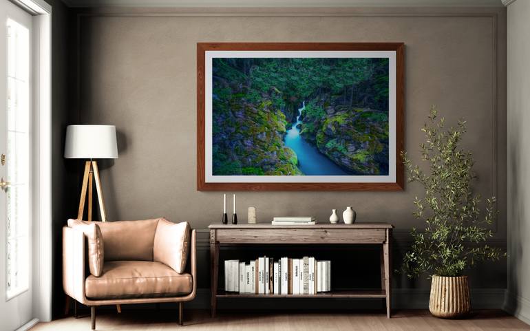 Original Documentary Nature Photography by Harv Greenberg
