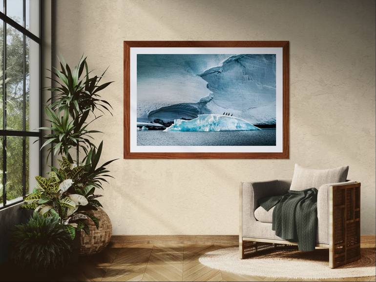 Original Documentary Nature Photography by Harv Greenberg