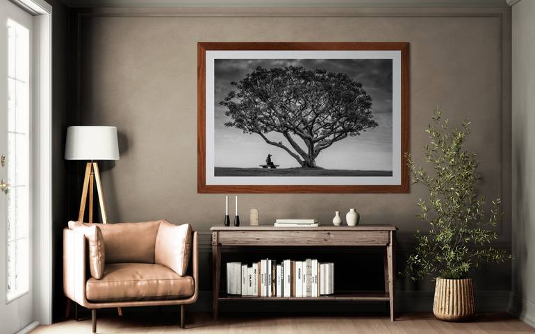 Original Fine Art Nature Photography by Harv Greenberg