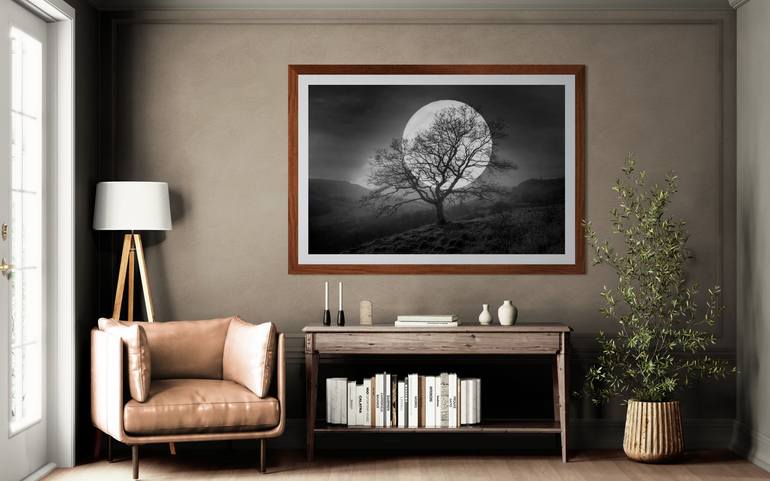 Original Other Landscape Photography by Harv Greenberg