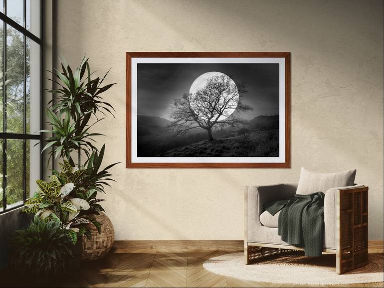 Original Other Landscape Photography by Harv Greenberg