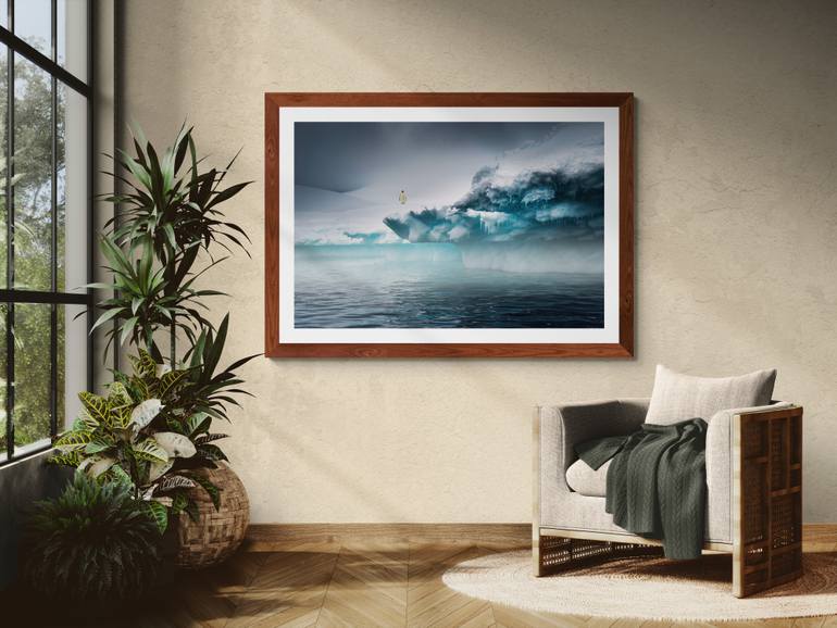 Original Documentary Nature Photography by Harv Greenberg