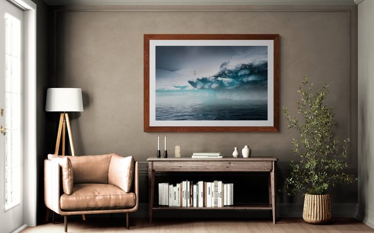 Original Documentary Nature Photography by Harv Greenberg