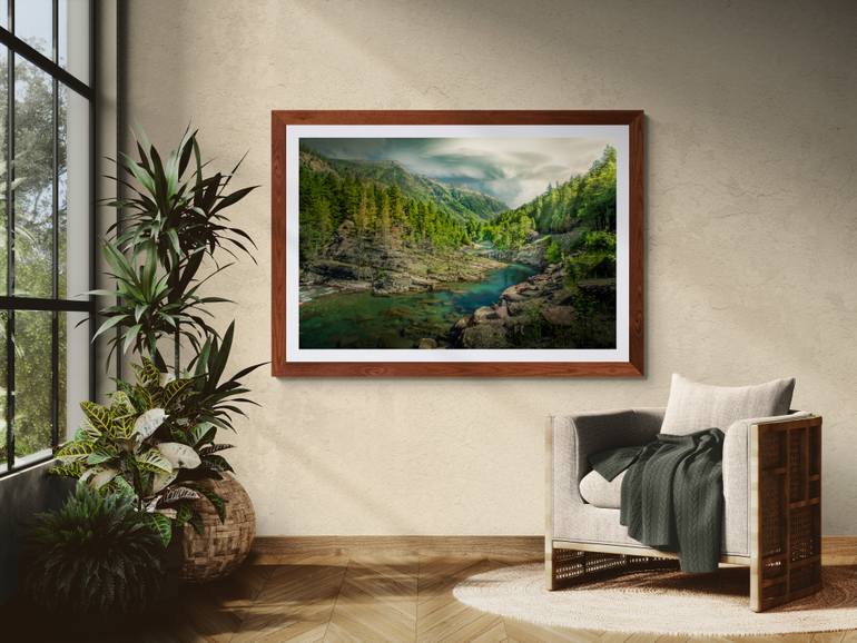 Original Documentary Nature Photography by Harv Greenberg