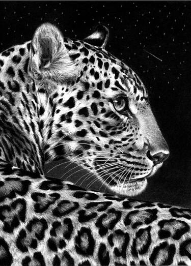 Print of Fine Art Animal Drawings by LENA HOLTZBERG
