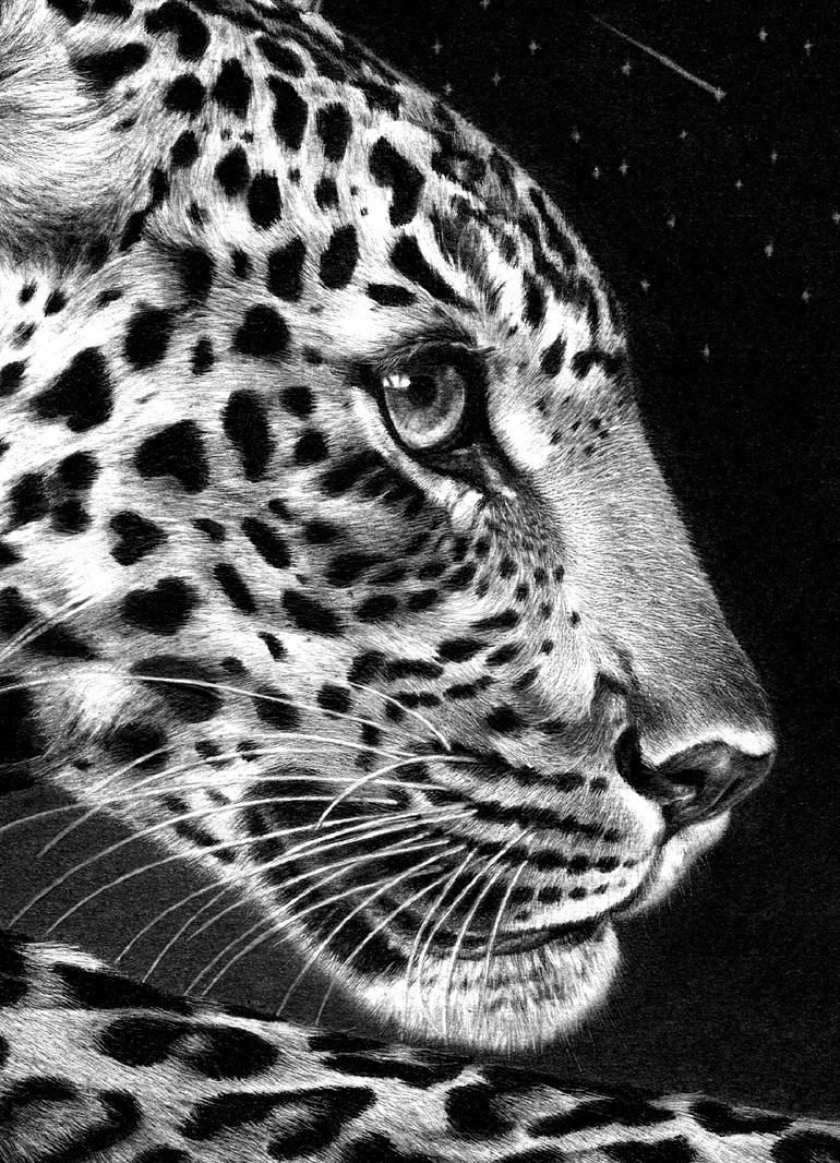 Original Illustration Animal Drawing by Lena Holtzberg